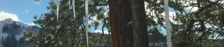 cropped-cropped-cropped-cropped-ice_cropped.jpg