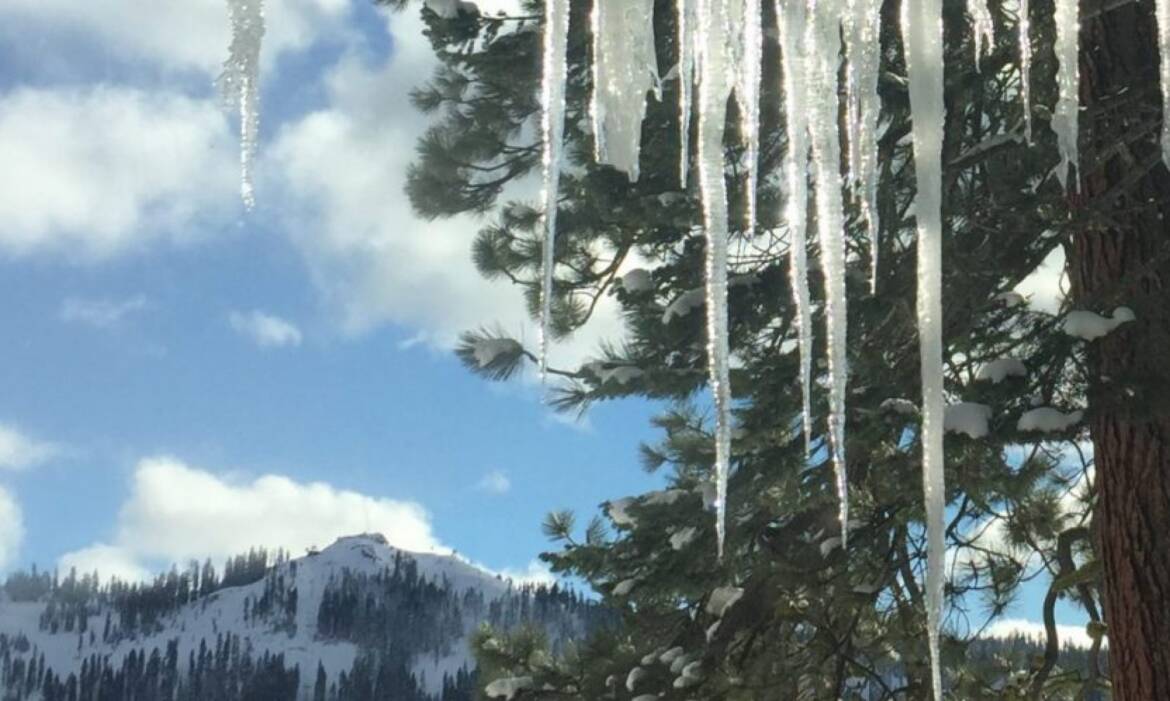 cropped-cropped-cropped-ice.jpg