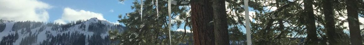 cropped-cropped-cropped-ice_cropped.jpg