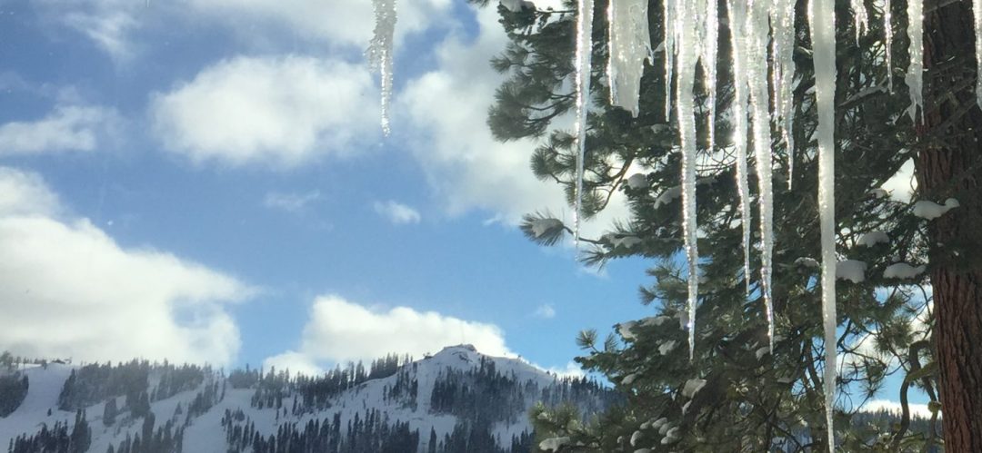 cropped-cropped-ice.jpg