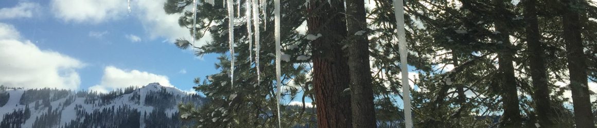 cropped-cropped-ice_cropped.jpg