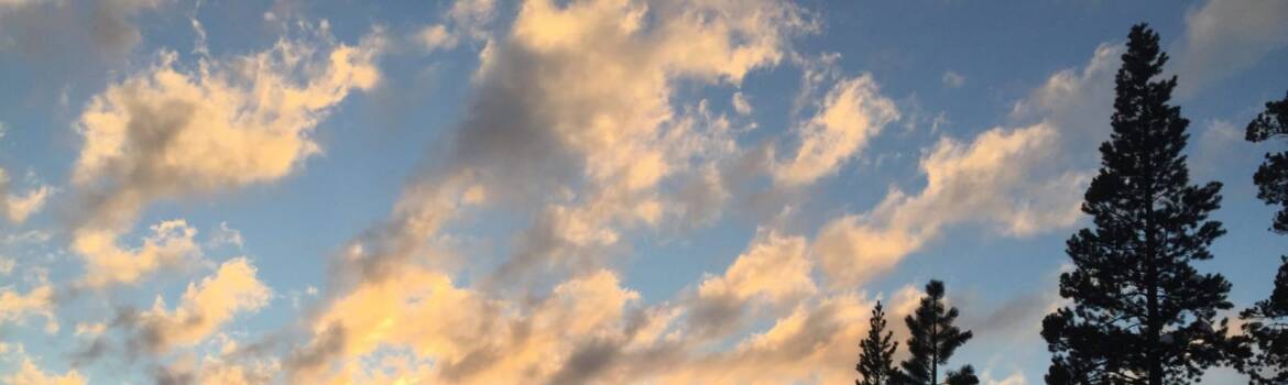 cropped-cropped-img_5853.jpg