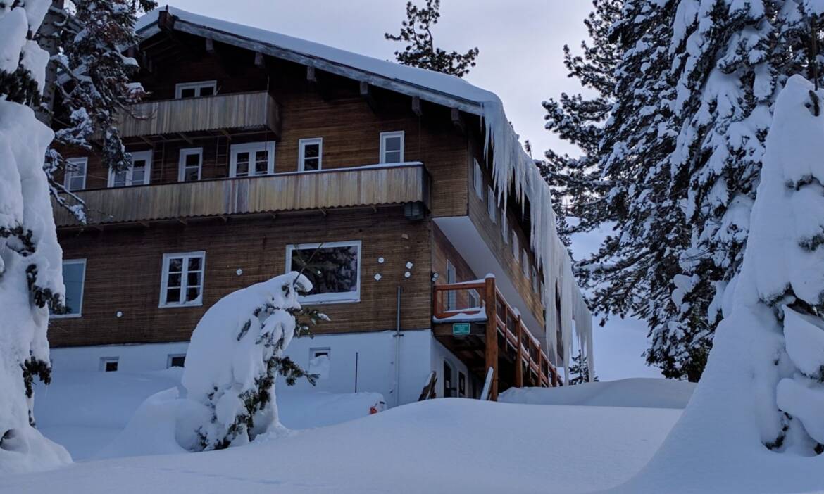 cropped-heidelmann_in_snow.jpg