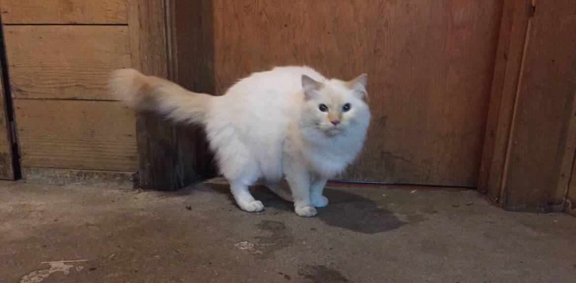 sammy-scaled.jpg