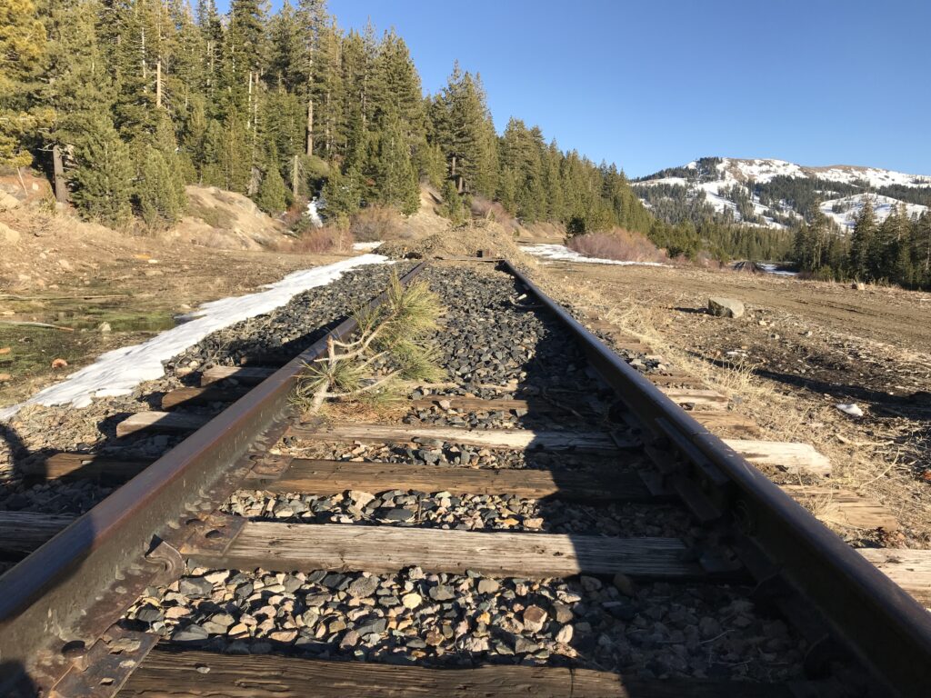 The Tracks